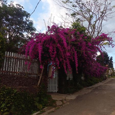 Ly'S Homestay Gia Nghia Exterior photo