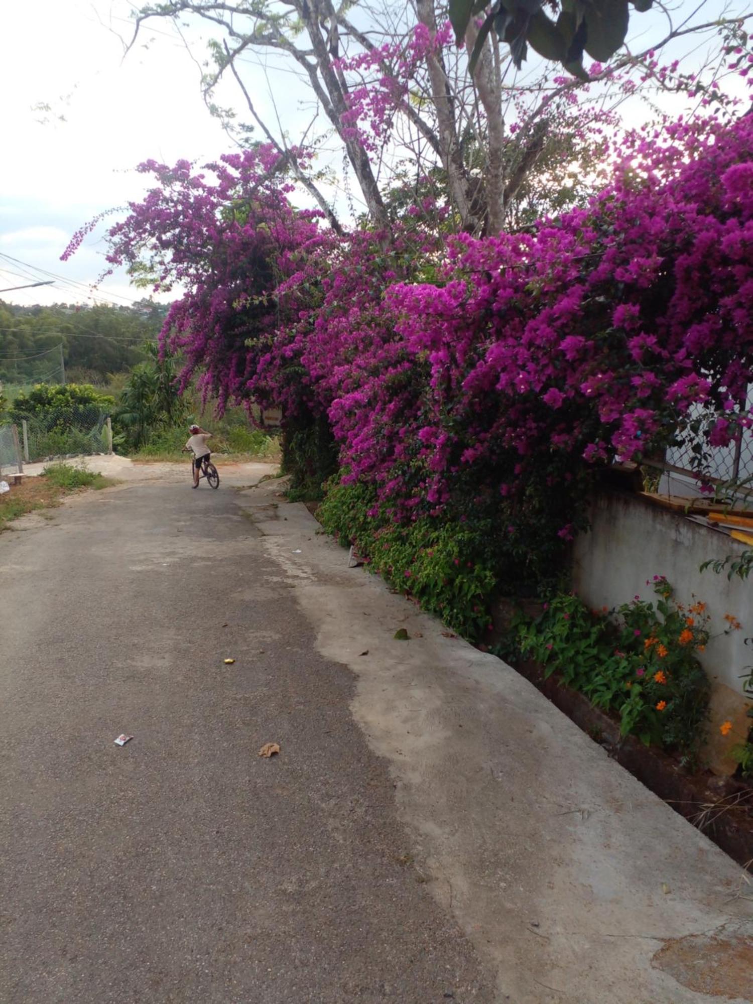 Ly'S Homestay Gia Nghia Exterior photo