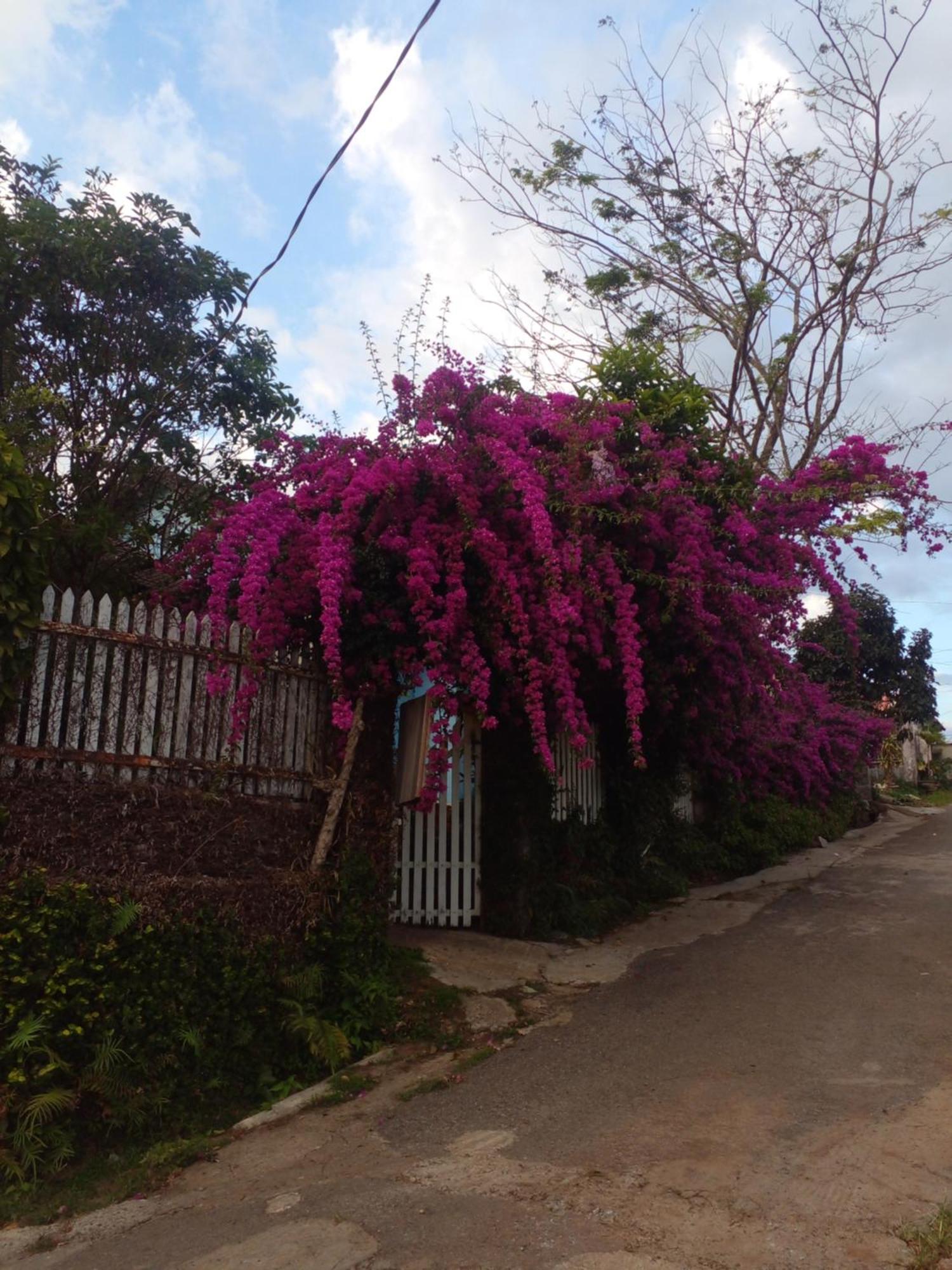 Ly'S Homestay Gia Nghia Exterior photo