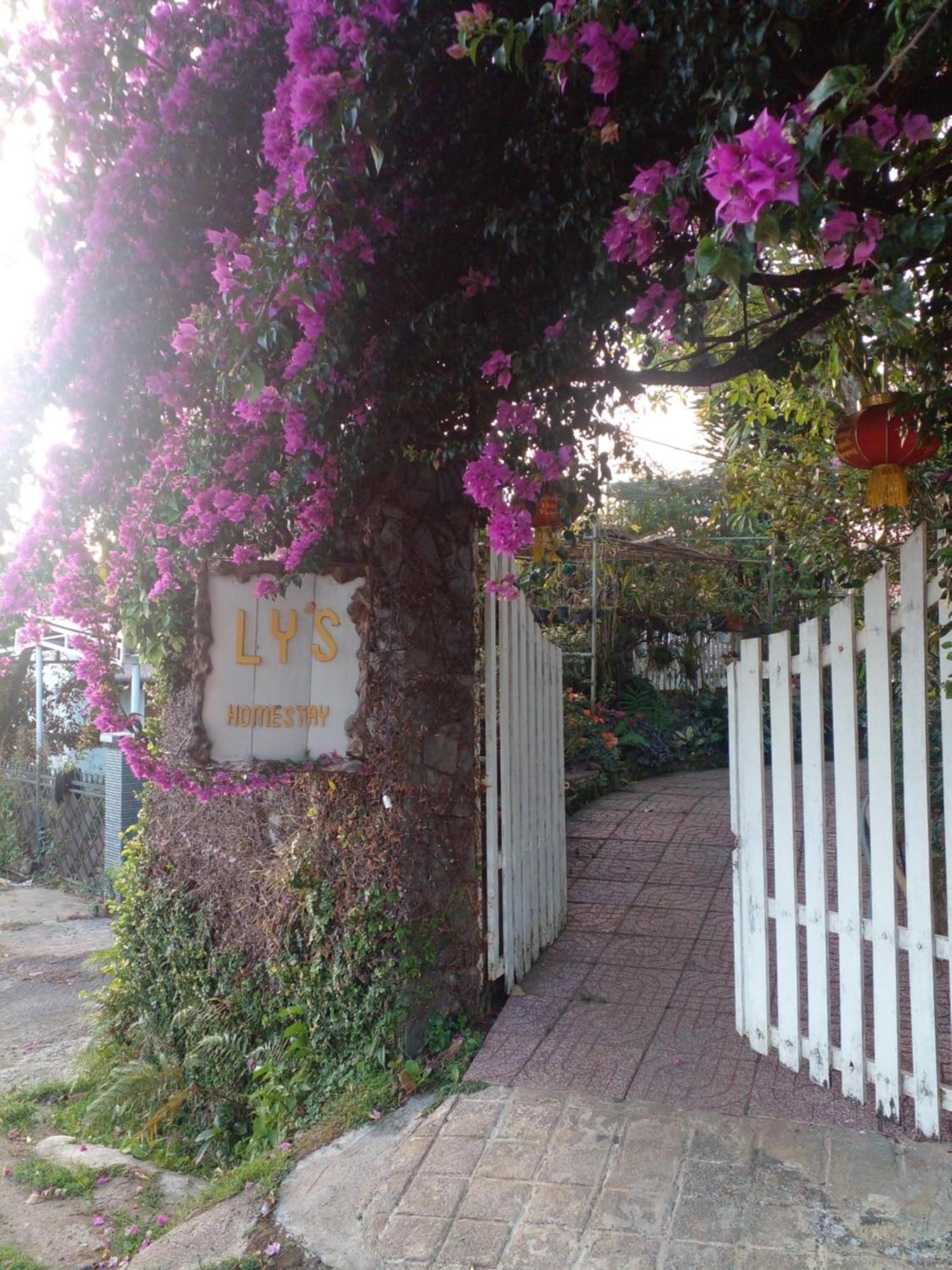 Ly'S Homestay Gia Nghia Exterior photo